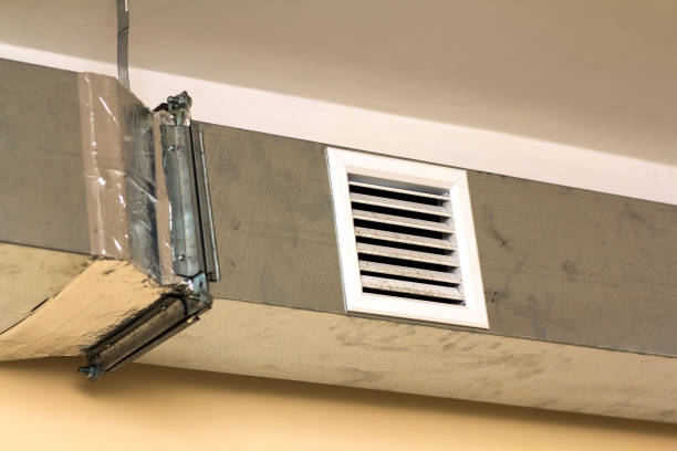 Air Duct Mold Removal in Woodlake, VA